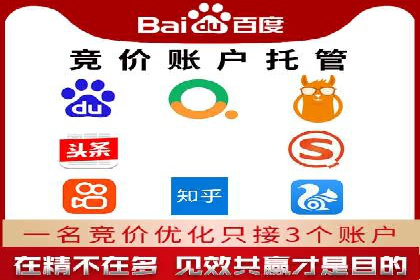 深度解析百度竞价包年服务：某行业领先企业的营销策略